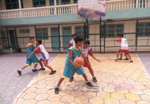 Basket